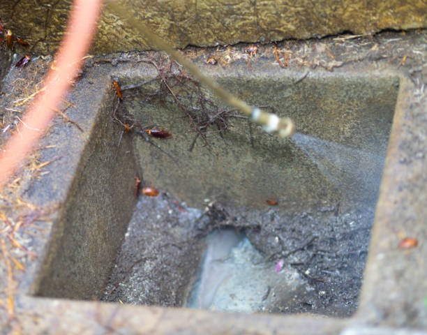 Drain Repairs in Catford