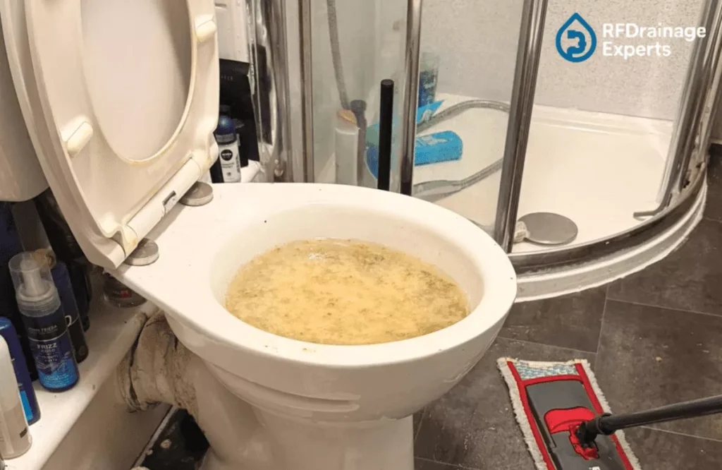 Professional plumber providing Toilet Drain Repair service in London bathroom